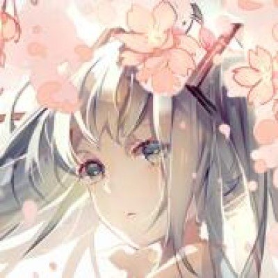 算力价格